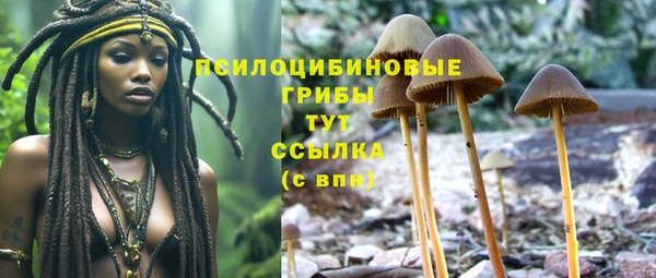 спайс Слюдянка