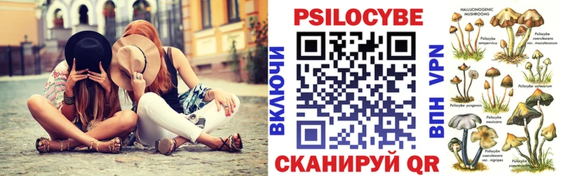 нарко площадка какой сайт  mega ССЫЛКА  Псилоцибиновые грибы GOLDEN TEACHER  Галич  где можно купить наркотик 