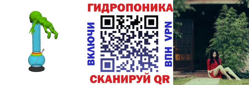 Бошки марихуана Amnesia Галич
